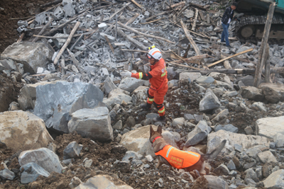 1504180522138601.jpg fd68b869-126c-468b-9e39-575f13849c50_batchwm.jpg